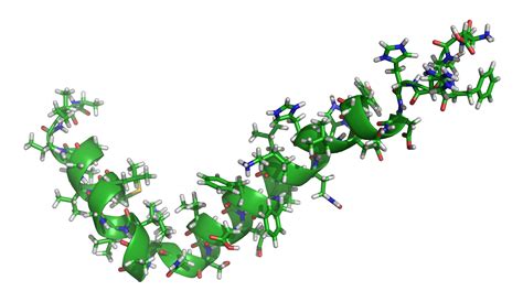 amyloid beta 42